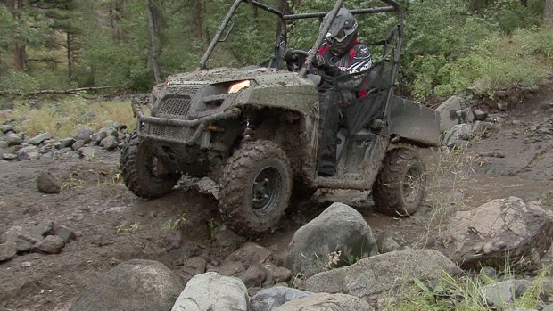 Years Calculator visual data 6